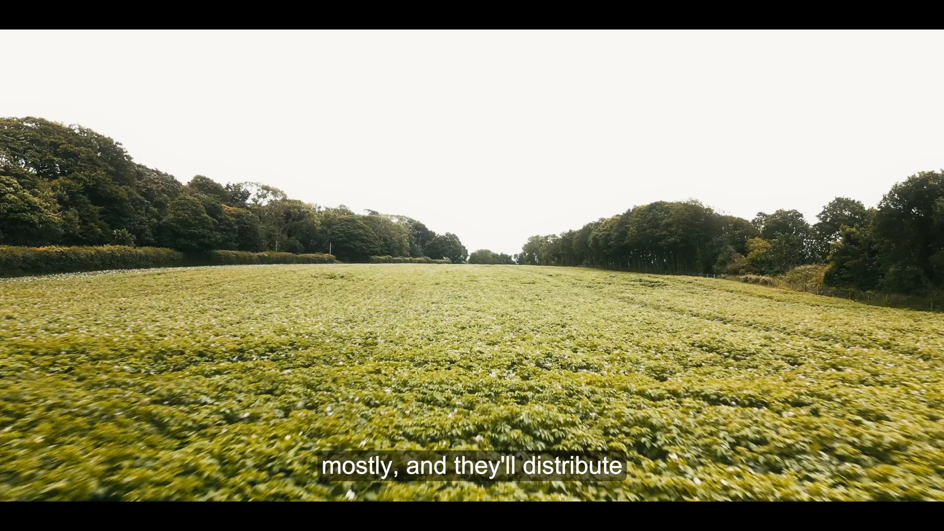 Caernarfon Bwyd — local producer interviewed for regional food film.