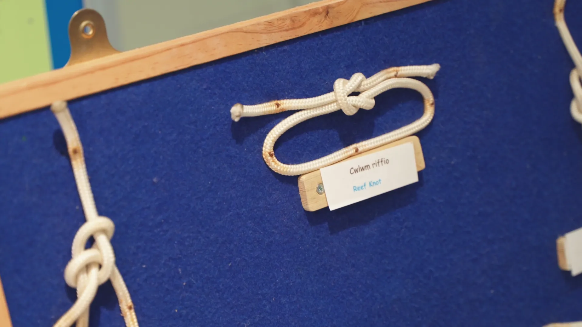 Cwlwm riffio / Reef Knot teaching display on a blue felt board at Amgueddfa Forwrol Llŷn — visitor-interactive maritime knot exhibit.